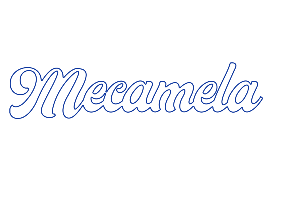 Logo Mecamela