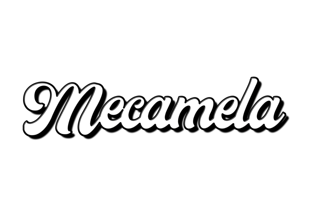 Logo Mecamela